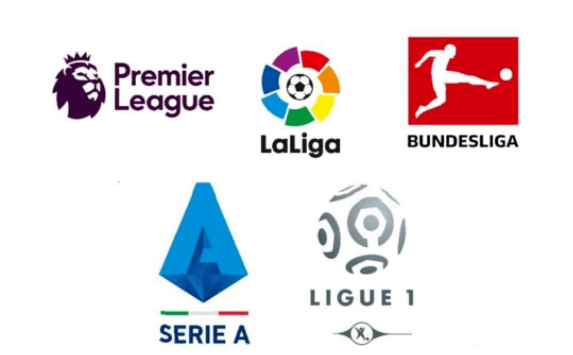 培养新人补 培养新人补